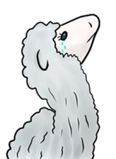 alaki's alpaca making fun sticker #3787926