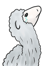 alaki's alpaca making fun sticker #3787926