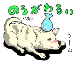 Tosa Zoo sticker #3788844