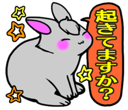 Bangs rabbit5 Everyday conversation sticker #3790025