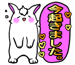 Bangs rabbit5 Everyday conversation sticker #3790026