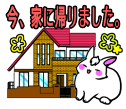 Bangs rabbit5 Everyday conversation sticker #3790033