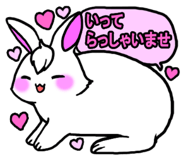 Bangs rabbit5 Everyday conversation sticker #3790037
