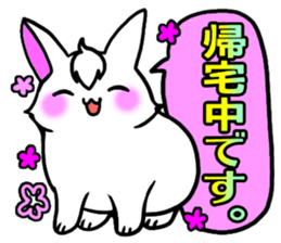 Bangs rabbit5 Everyday conversation sticker #3790040
