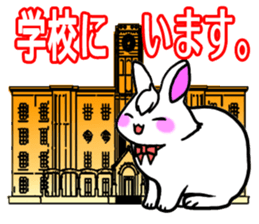 Bangs rabbit5 Everyday conversation sticker #3790042