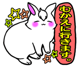 Bangs rabbit5 Everyday conversation sticker #3790054