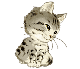 Dream cat sticker #3791787