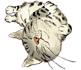 Dream cat sticker #3791795