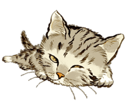Dream cat sticker #3791813