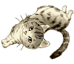 Dream cat sticker #3791814