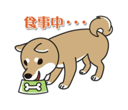 shiba-kenn sticker #3791992