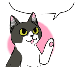 Cat theater MarineLand Part2 sticker #3792536