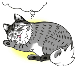 Cat theater MarineLand Part2 sticker #3792537