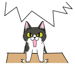 Cat theater MarineLand Part2 sticker #3792538