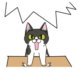 Cat theater MarineLand Part2 sticker #3792538