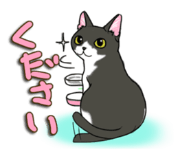 Cat theater MarineLand Part2 sticker #3792540