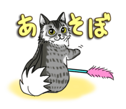 Cat theater MarineLand Part2 sticker #3792541