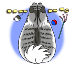 Cat theater MarineLand Part2 sticker #3792543