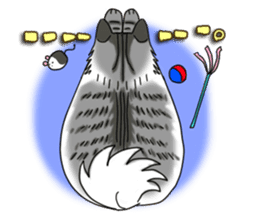 Cat theater MarineLand Part2 sticker #3792543