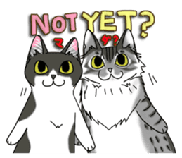 Cat theater MarineLand Part2 sticker #3792549