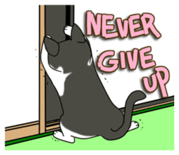 Cat theater MarineLand Part2 sticker #3792551