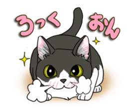 Cat theater MarineLand Part2 sticker #3792552