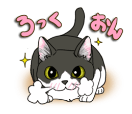 Cat theater MarineLand Part2 sticker #3792552