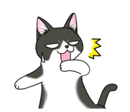 Cat theater MarineLand Part2 sticker #3792554