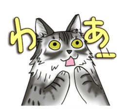 Cat theater MarineLand Part2 sticker #3792555