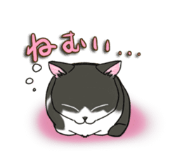 Cat theater MarineLand Part2 sticker #3792556