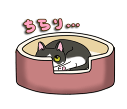 Cat theater MarineLand Part2 sticker #3792559