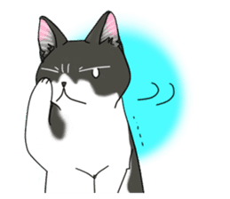 Cat theater MarineLand Part2 sticker #3792561