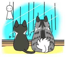 Cat theater MarineLand Part2 sticker #3792564