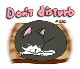 Cat theater MarineLand Part2 sticker #3792567