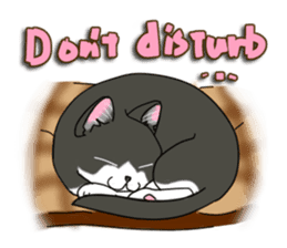 Cat theater MarineLand Part2 sticker #3792567