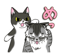 Cat theater MarineLand Part2 sticker #3792573