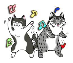 Cat theater MarineLand Part2 sticker #3792574