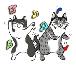 Cat theater MarineLand Part2 sticker #3792574