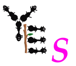 Mr. ant sticker #3792779