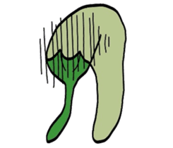 Japanese Green Pepper Boy "PiriPiri" sticker #3794788