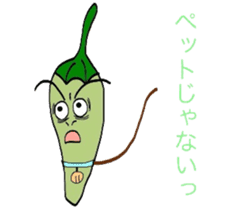 Japanese Green Pepper Boy "PiriPiri" sticker #3794810