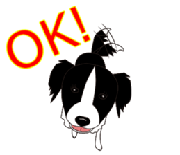 Border collie dog "ICHIGO" sticker #3794935