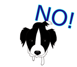 Border collie dog "ICHIGO" sticker #3794936