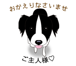 Border collie dog "ICHIGO" sticker #3794938