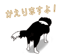 Border collie dog "ICHIGO" sticker #3794939