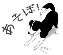 Border collie dog "ICHIGO" sticker #3794940