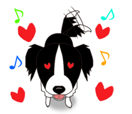 Border collie dog "ICHIGO" sticker #3794942