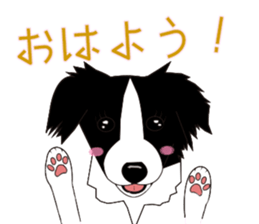 Border collie dog "ICHIGO" sticker #3794944