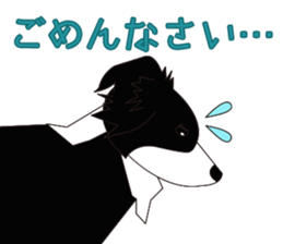 Border collie dog "ICHIGO" sticker #3794947
