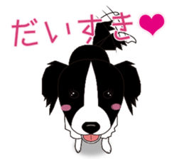 Border collie dog "ICHIGO" sticker #3794950